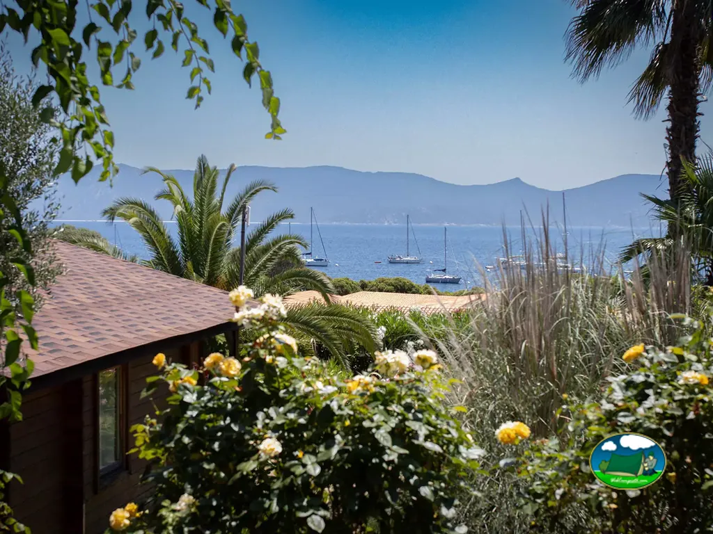vista al mar con veleros a través de un jardín florido junto al tejado de una cabaña en Porto Pollo