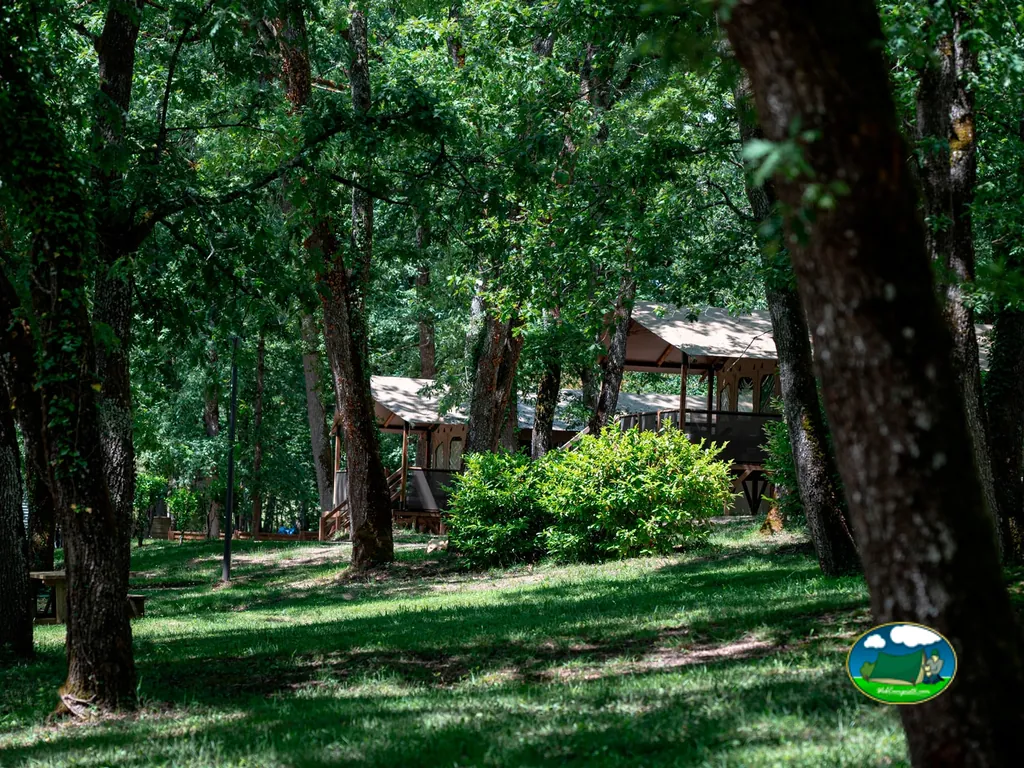cabañas de madera entre árboles frondosos del camping en Saint-Amand-de-Vergt