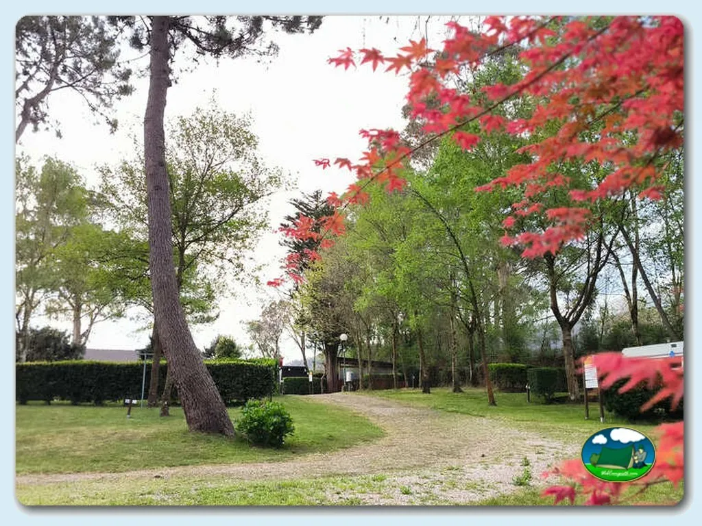 Parcela arbolada con flores rojas de temporada del Camping Playa de Otur, Valdes (Asturias)