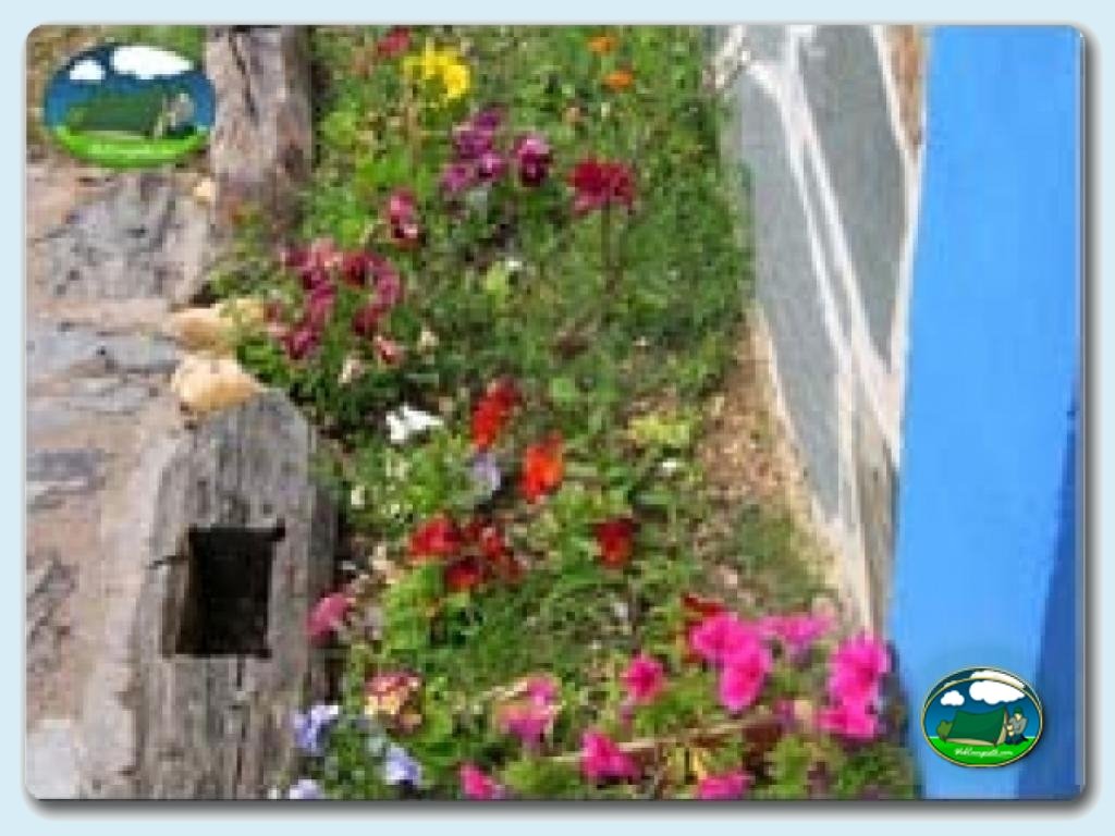 foto del camping Camping Santa Colomba