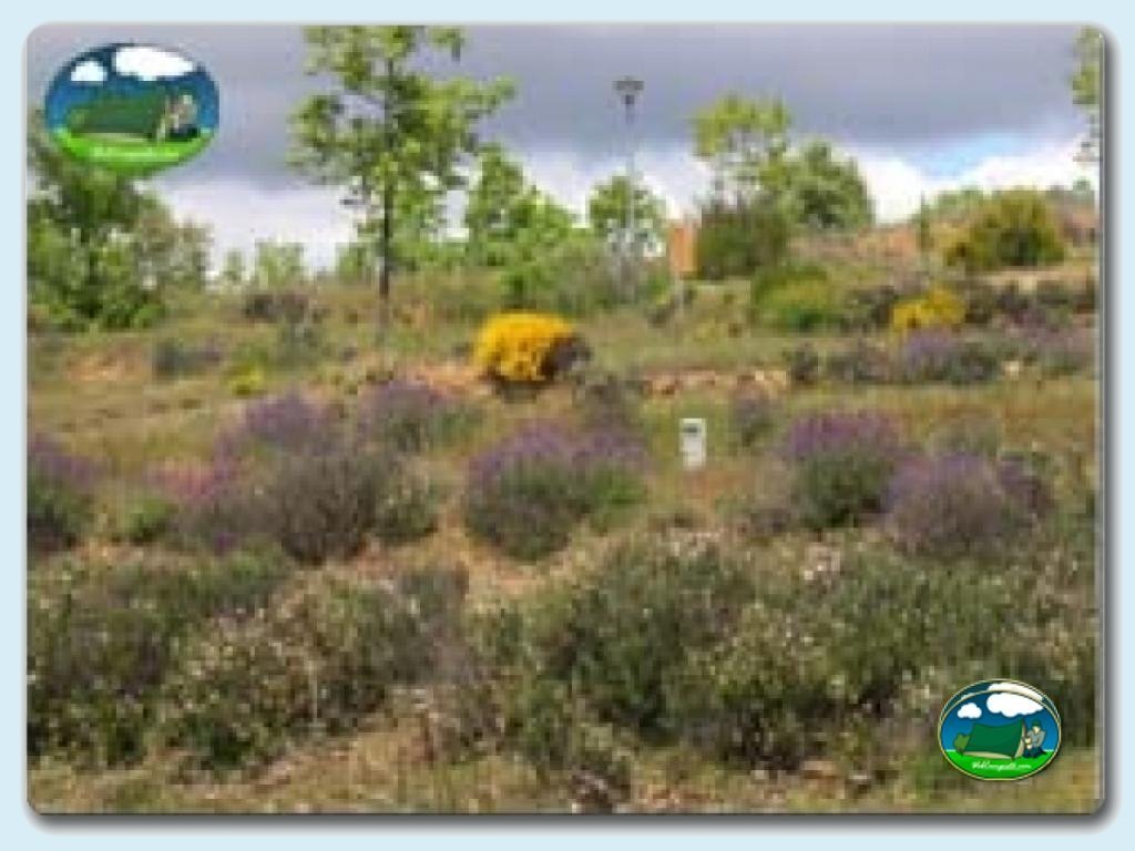 foto del camping Camping Santa Colomba