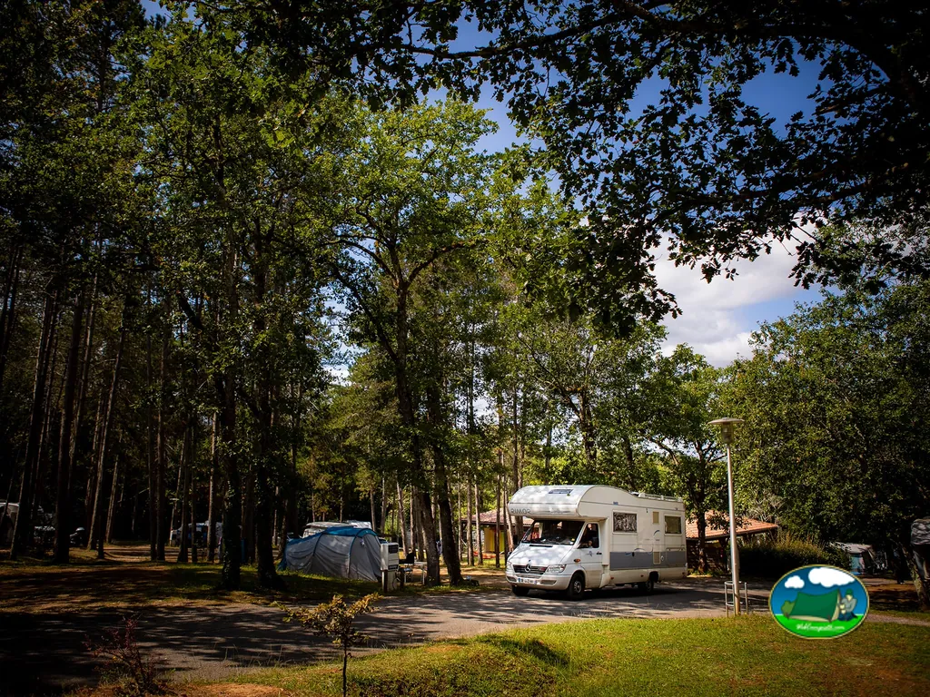 autocaravana aparcada en una parcela arbolada del camping en Gourdon con luz de tarde entre los pinos