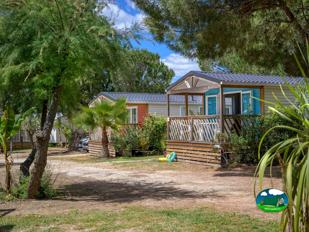 mobil-homes con terraza rodeados de pinos y una palmera en Vauvert
