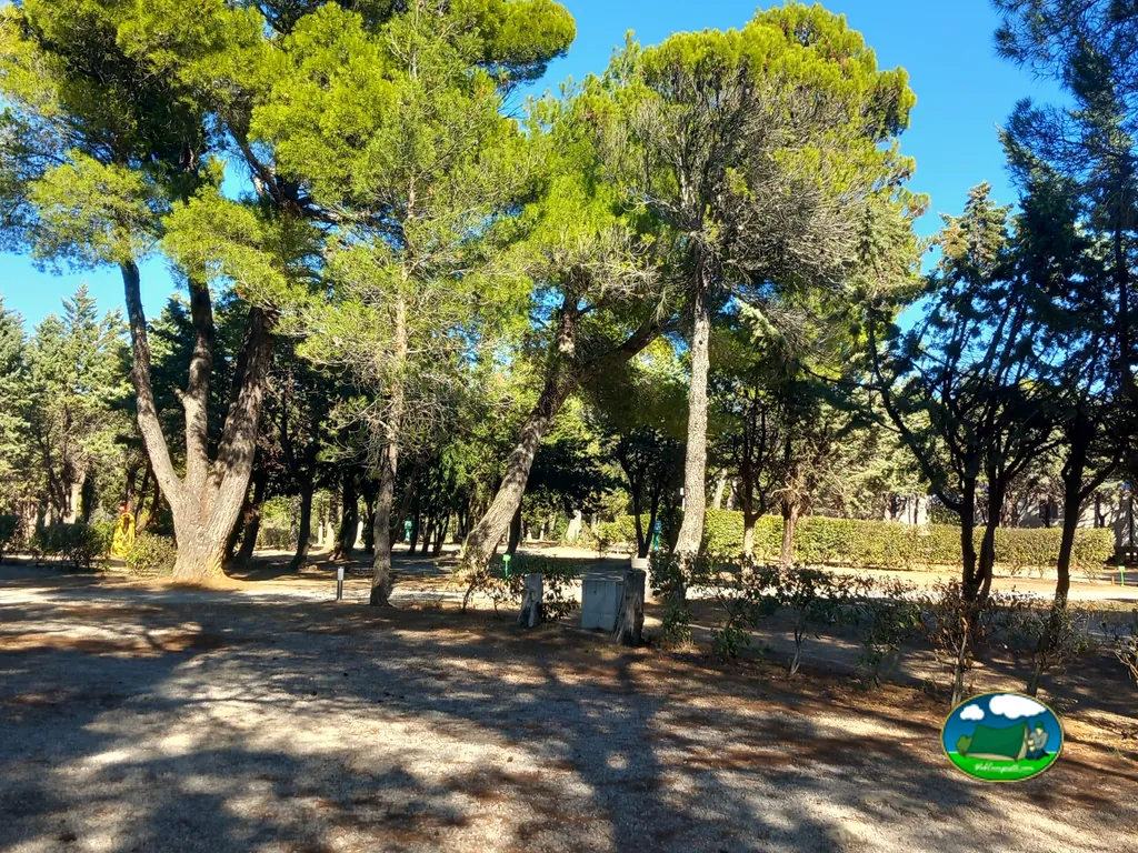 parcelas bajo pinos con tomas de electricidad y setos recortados en Fabrezan