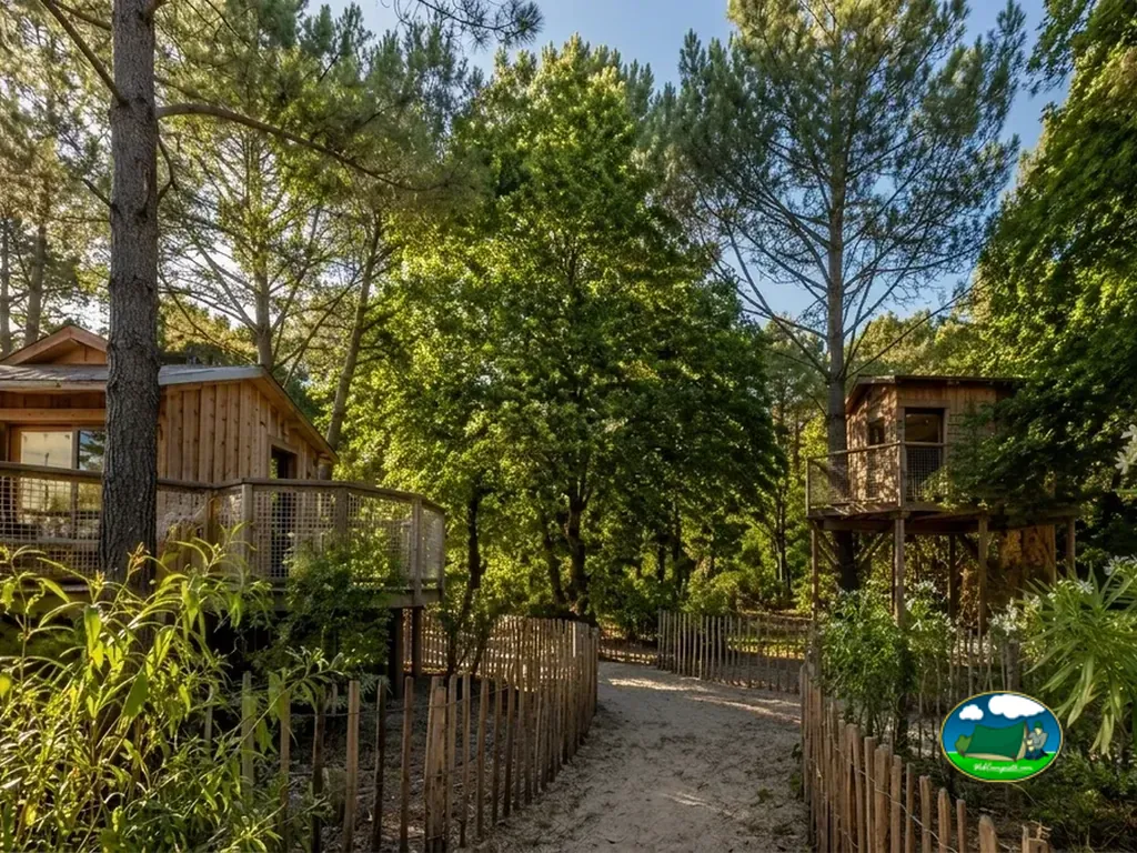 cabañas elevadas de madera conectadas por un camino arenoso entre pinos en Saint-Hilaire-de-Riez