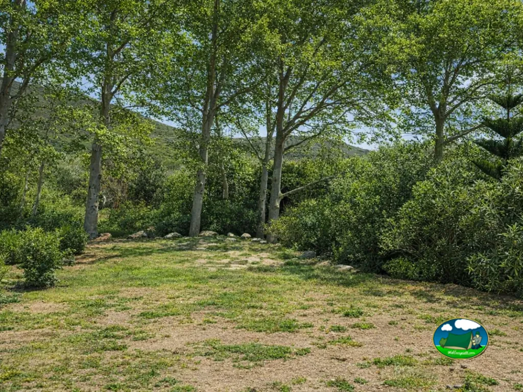 parcela de hierba vacía bajo árboles con montañas al fondo en Meria