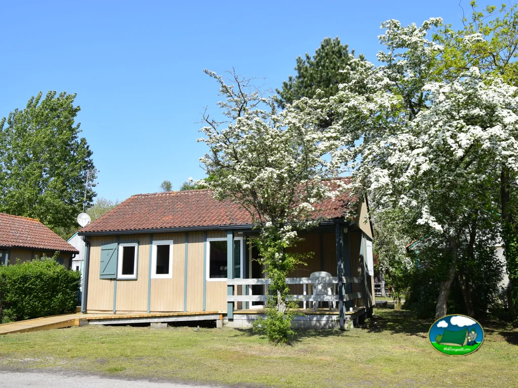 bungalow con porche bajo un árbol en flor en el camping de Rang-du-Fliers