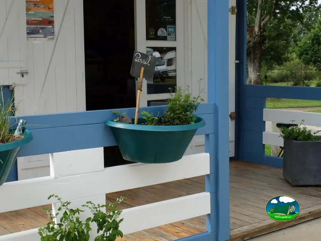 macetero con hierbas aromáticas en la terraza de recepción del camping de Arradon
