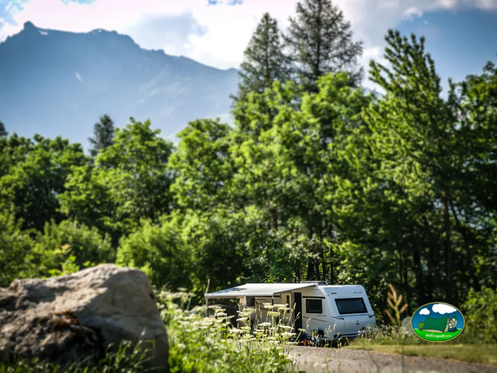 caravana aparcada en una parcela junto a un bosque de montaña con flores silvestres en primer plano