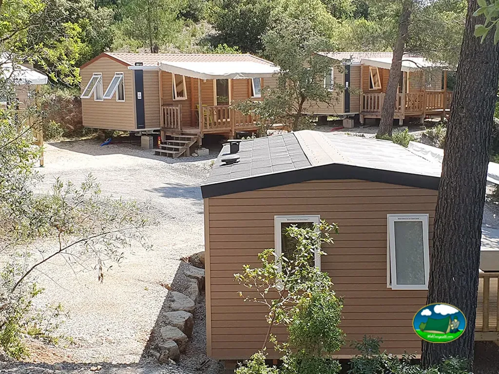bungalows de madera con terraza entre pinos vistos desde arriba