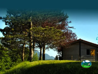 chalet de madera entre árboles con un filtro de color azulado en la imagen