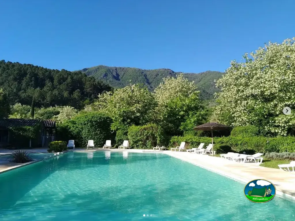 piscina con vistas a montañas boscosas y árboles en flor en Gravières