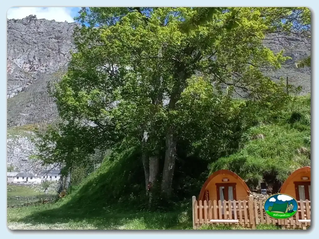 Glamping con vistas a la montaña del Camping Lagos de Somiedo, Valle de Lago (Asturias)