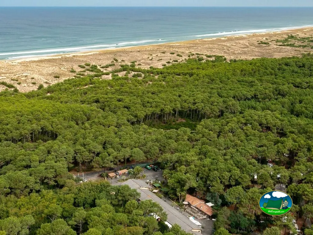 vista aérea del pinar y la duna junto a la playa con las instalaciones del camping al fondo en Lège-Cap-Ferret