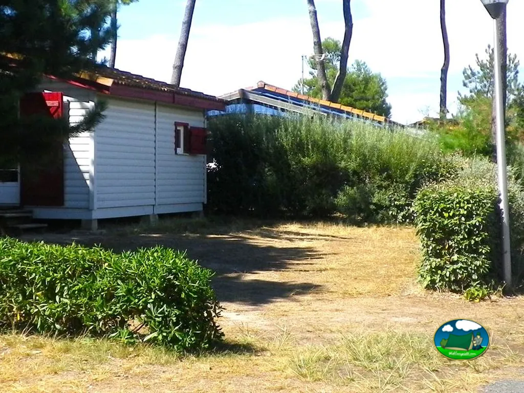 fachada lateral de un bungaló blanco con postigos rojos entre pinos a contraluz en Port-des-Barques