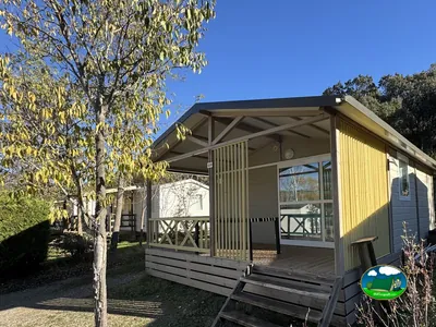 bungaló con revestimiento amarillo y porche cubierto entre árboles de otoño