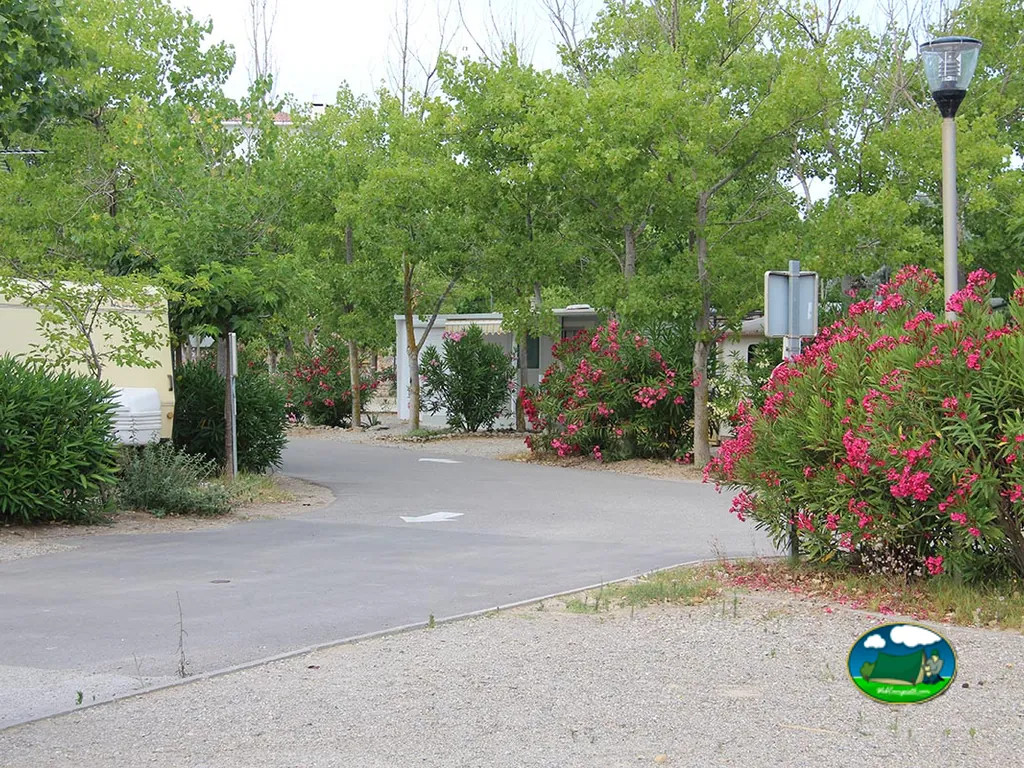 calle interior del camping bordeada de adelfas en flor y caravanas entre árboles en Fleury-d'Aude