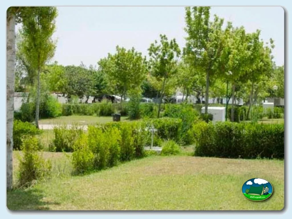 Camping La Rana Verde en Chiclana de la Frontera, Cádiz - imagen 3