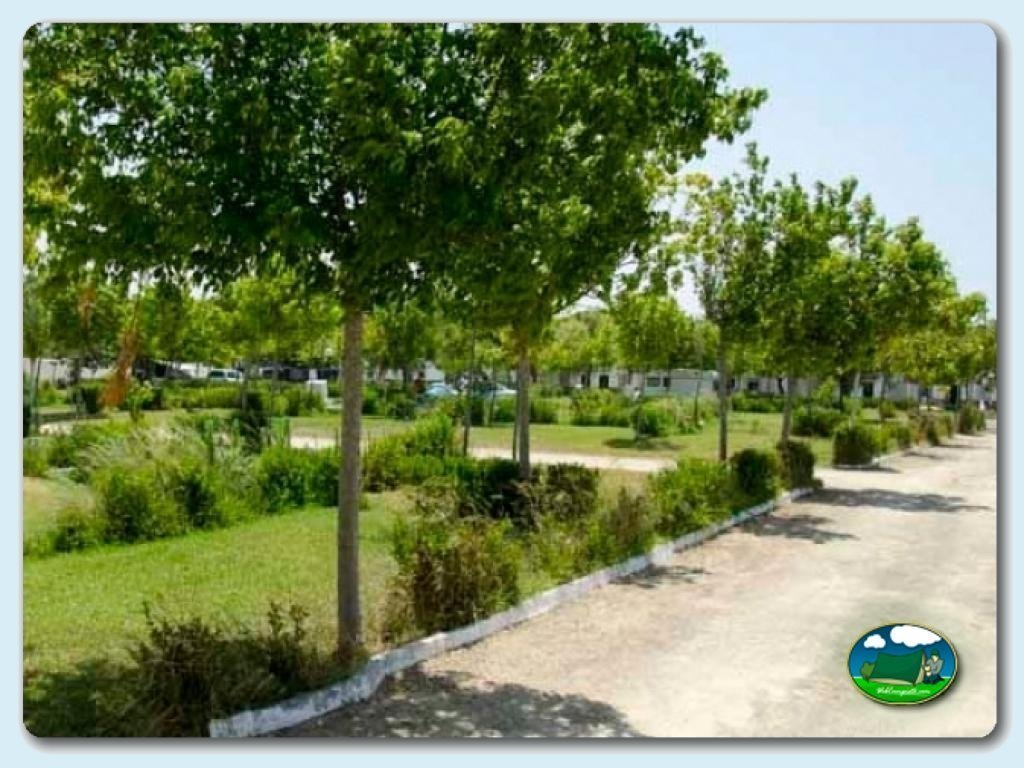 foto del camping Camping La Rana Verde