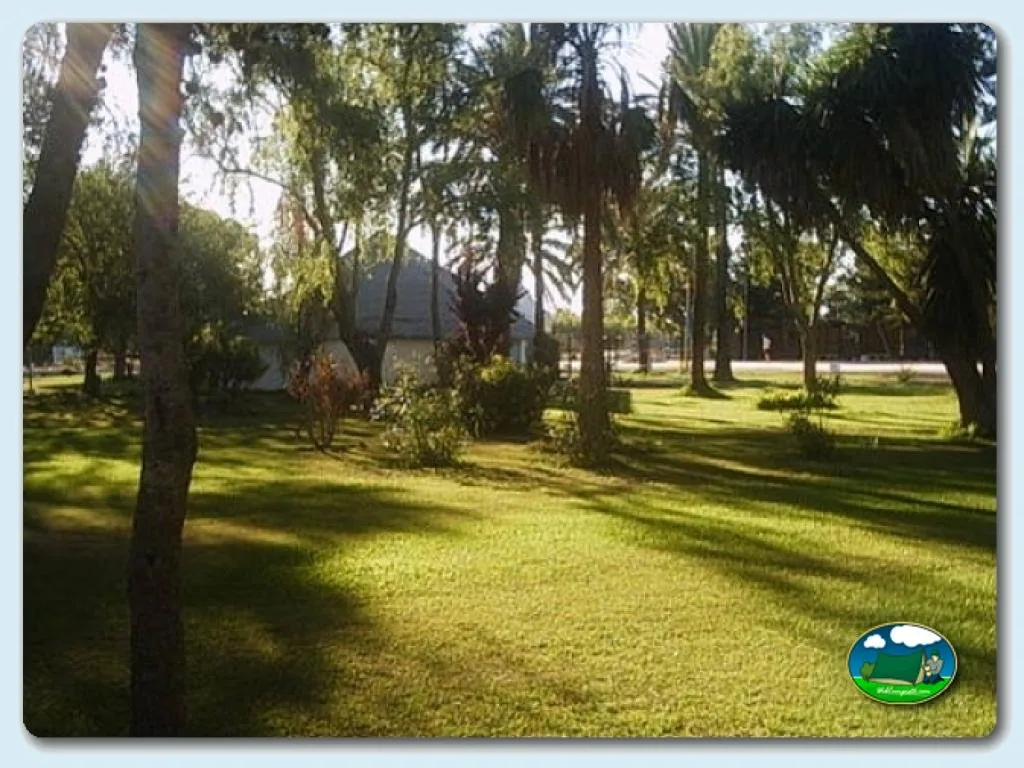Camping La Rana Verde en Chiclana de la Frontera, Cádiz - imagen 5