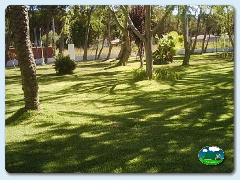Camping La Rana Verde en Chiclana de la Frontera, Cádiz - imagen 4