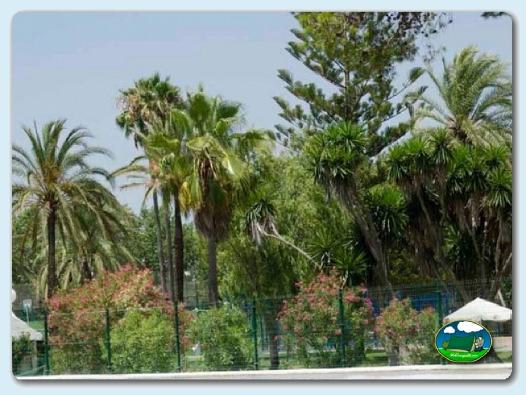 foto del camping Camping La Rana Verde