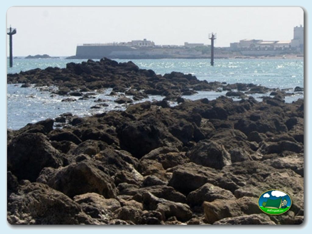 foto del camping Camping La Rana Verde