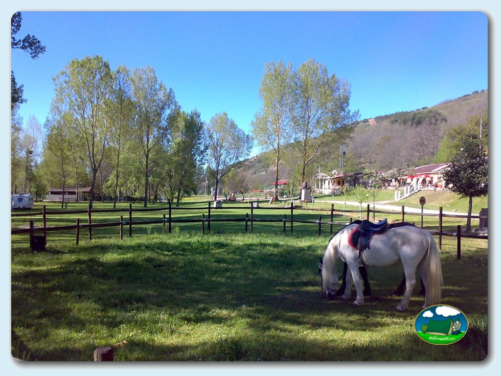foto del camping Camping Santa Catalina