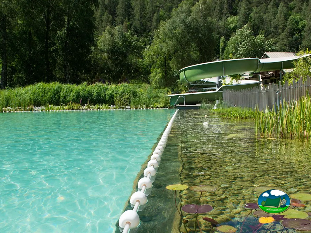 piscina natural de aguas verdes con tobogán y nenúfares junto al bosque