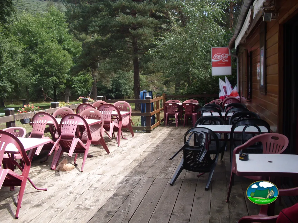 terraza del bar-restaurante del camping con mesas y sillas de plástico y un gato tumbado en el suelo