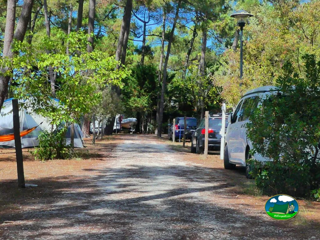 camino de arena entre pinos con tiendas de campaña y coches aparcados en Soulac-sur-Mer