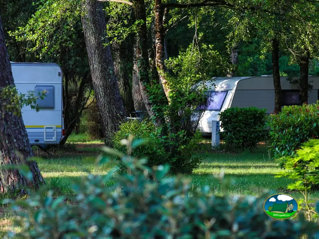 caravanas en parcelas sombreadas entre árboles en Azur