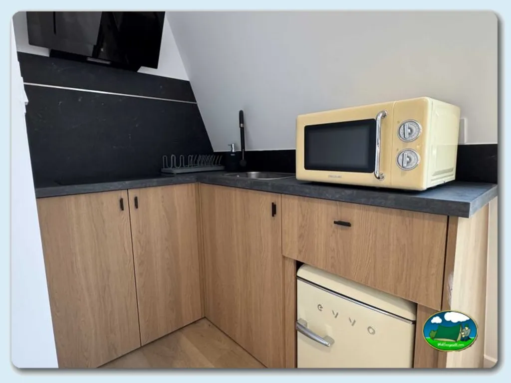 Cocina de mobil-home con microondas del Camping Alto Esla, Boca de Huergano (León)