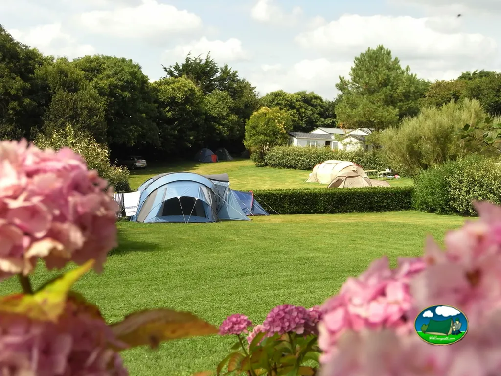 césped con tiendas de campaña y mobil-home entre setos, con hortensias rosas en primer plano en Plonévez-Porzay
