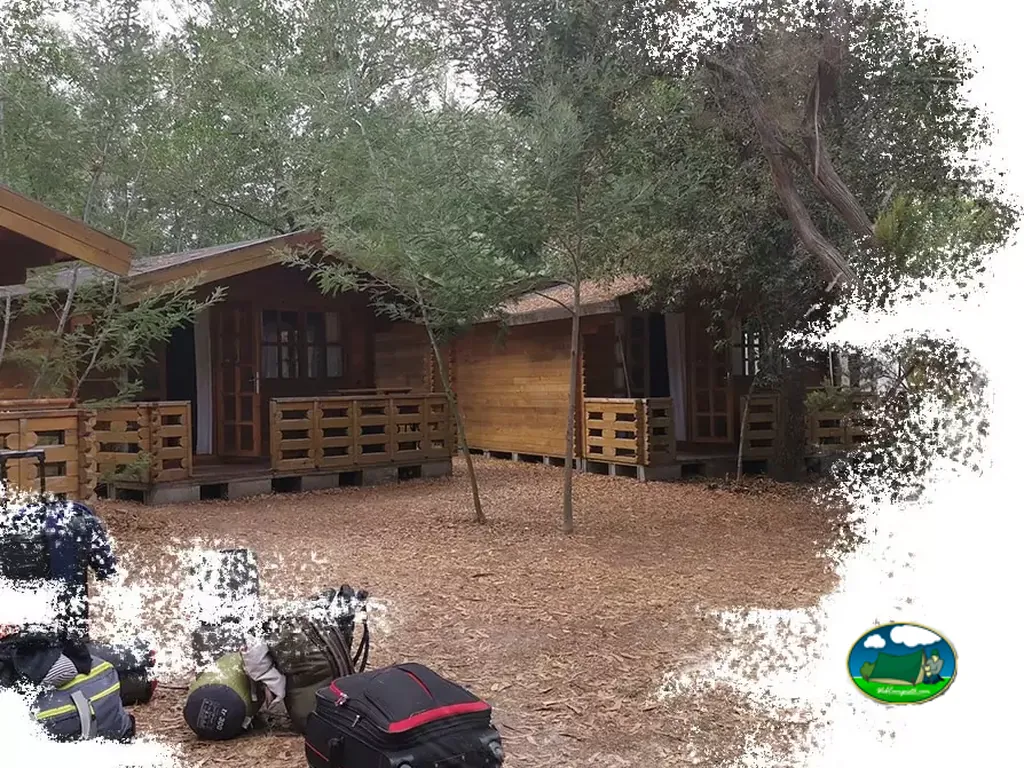 cabañas de madera entre árboles con mochilas de senderismo en primer plano en Valle-di-Campoloro