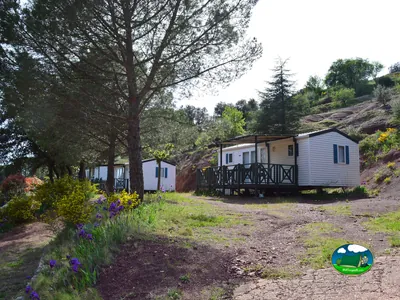 hilera de mobile homes entre pinos y flores lilas en una ladera en Octon