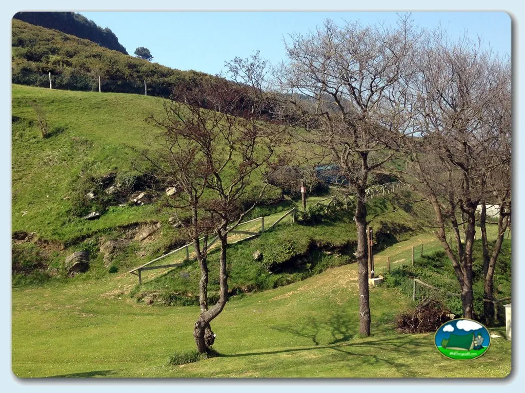 Parcela en sierra con árboles y cercas del Camping Bahinas, Santa María del Mar (Asturias)