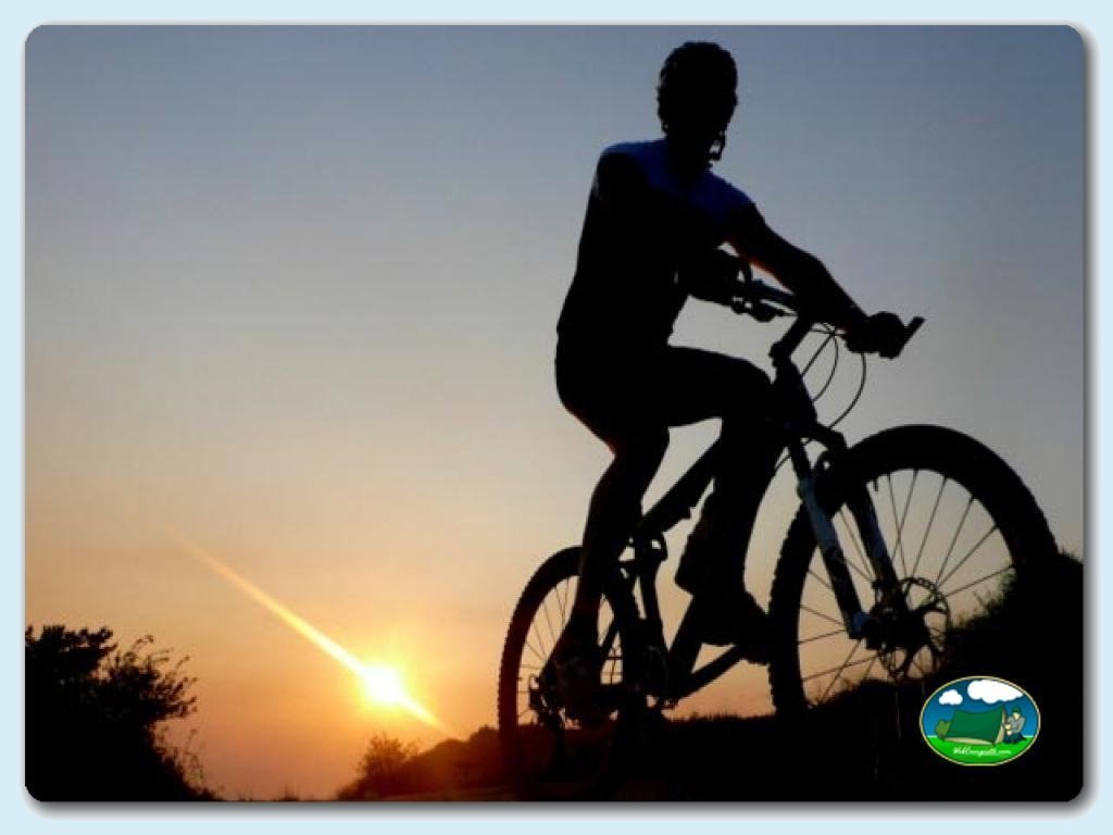 Actividades en Camping  Las Gaviotas, España