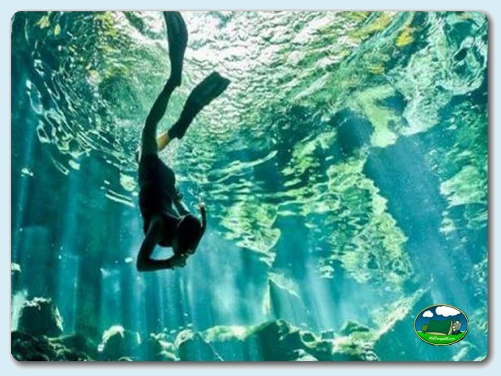 Camping  Las Gaviotas