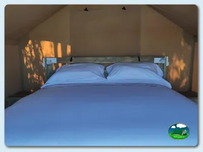 Glamping interior con cama doble y luz natural del Camping Las Gaviotas, Santa María del Mar (Asturias)