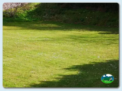 Parcela con césped y arboleda del Camping Las Gaviotas, Santa María del Mar (Asturias)