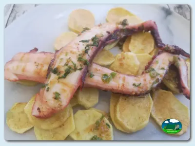 Plato de pulpo a la gallega del Camping Las Gaviotas, Santa María del Mar (Asturias)