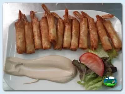 Plato de comida con rollitos fritos del Camping Las Gaviotas, Santa María del Mar (Asturias)