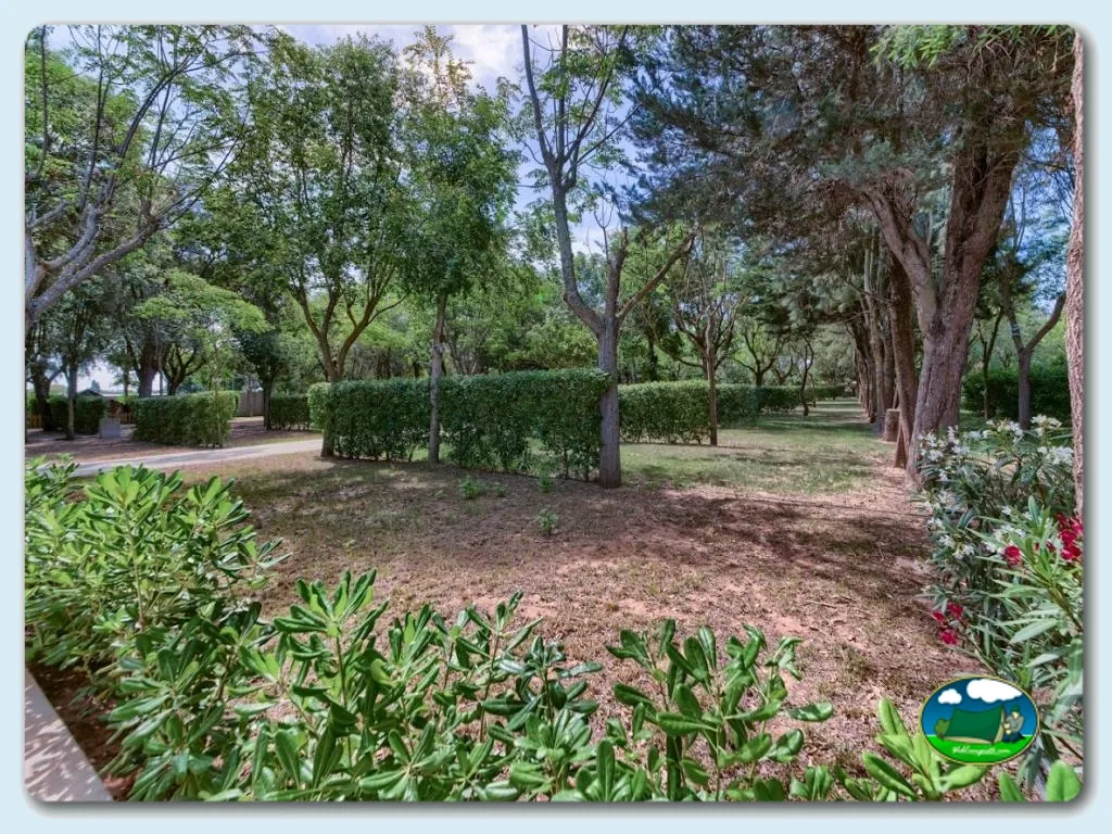 Camping El Faro