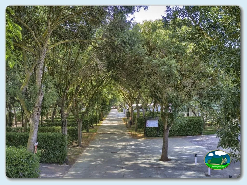 Foto de Camping El Faro, Cádiz, Andalucía, España - imagen 5