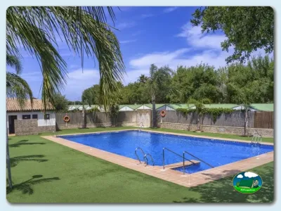Piscina con vistas al jardín y palmeras del Camping El Faro, Conil de la Frontera (Cádiz)