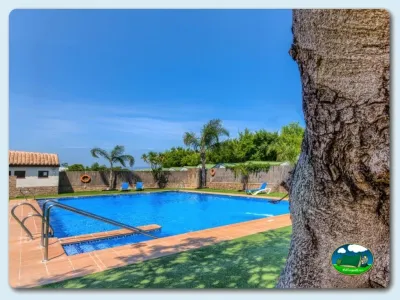 Piscina con vistas al jardín y palmeras del Camping El Faro, Conil de la Frontera (Cádiz)