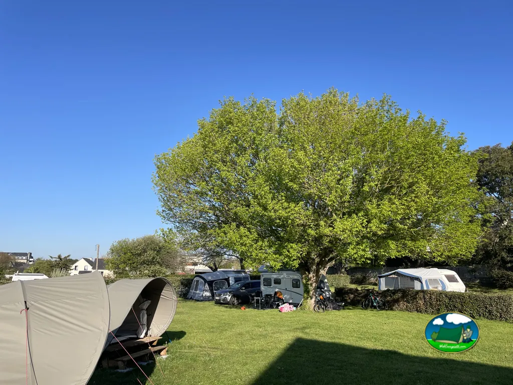 parcela de acampada bajo un gran árbol con tiendas, caravana y bicicletas en Saint-Jacut-de-la-Mer