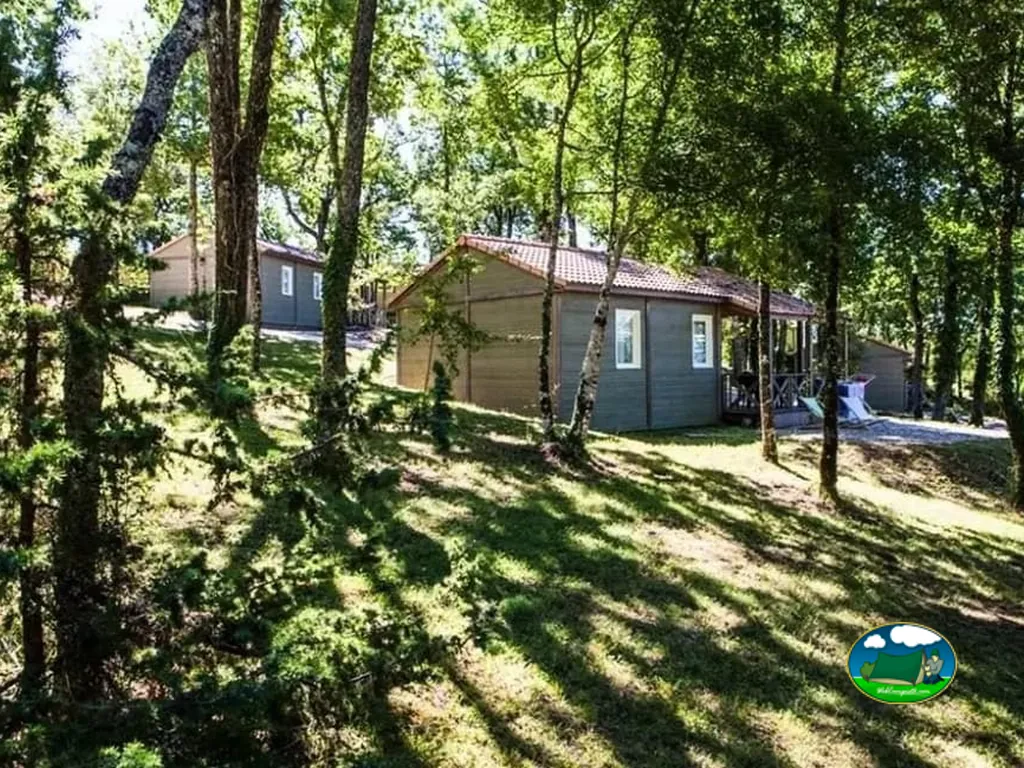 chalets de madera entre abedules y pinos en el camping de Séniergues