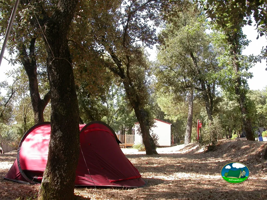 tiendas de campaña rojas bajo los árboles en las parcelas del camping cerca de Saint-Saturnin-lès-Apt